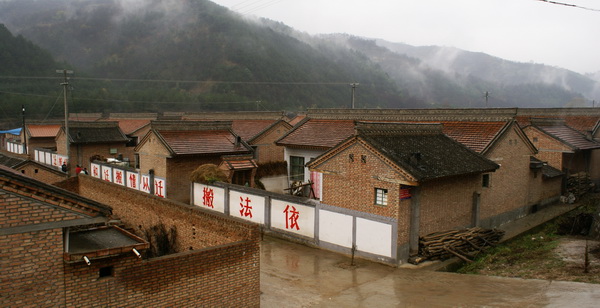 DSC07002.jpg
