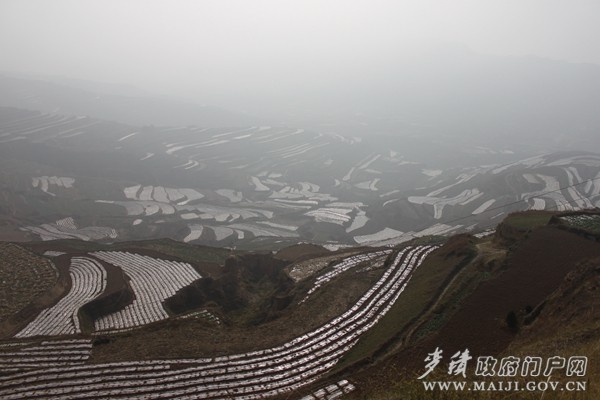 安遠(yuǎn)鎮(zhèn)安坡流域秋覆膜點(diǎn)