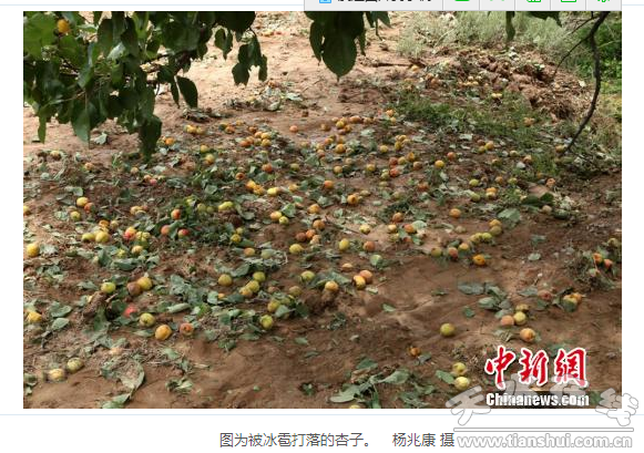 QQ截圖20160614184447.png