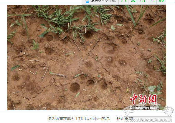 QQ截圖20160614184459.png