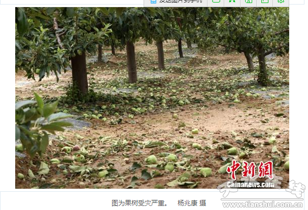 QQ截圖20160614184427.png