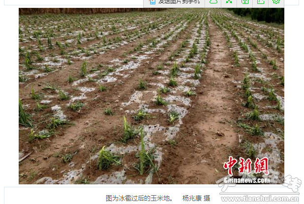 QQ截圖20160614184408.png