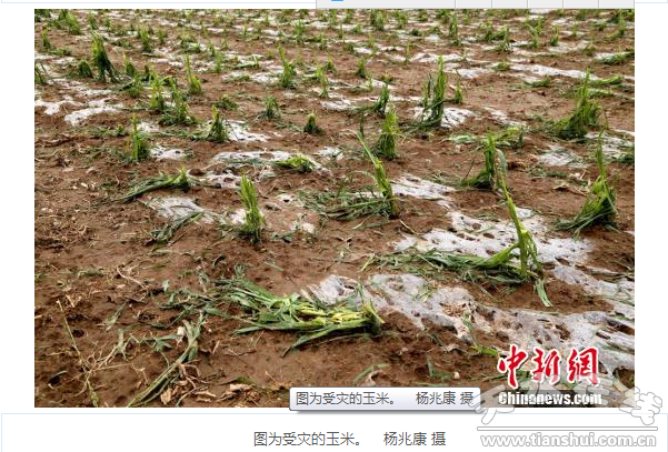QQ截圖20160614184355.png