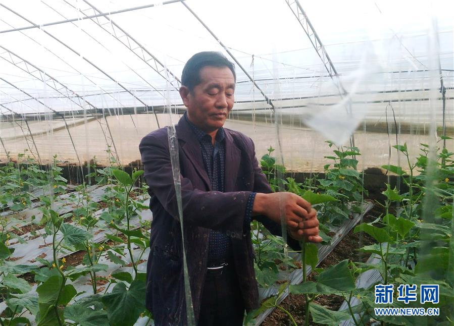 (十九大時光·圖文互動)(2)以習(xí)近平新時代中國特色社會主義思想開啟新征程——來自基層蹲點現(xiàn)場的報道