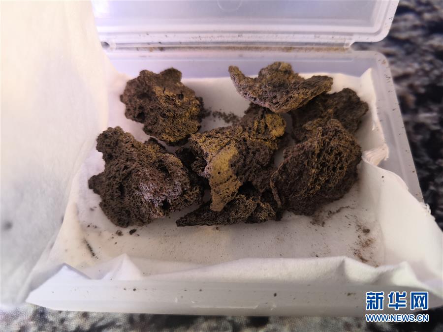 (圖文互動(dòng))(4)鄭州考古實(shí)證5000多年前中國(guó)先民已育蠶制絲